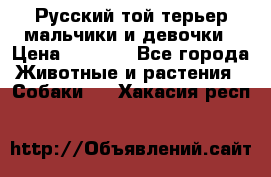 Русский той-терьер мальчики и девочки › Цена ­ 8 000 - Все города Животные и растения » Собаки   . Хакасия респ.